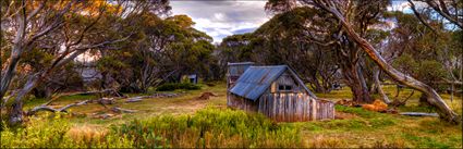 Wallace Hut - VIC H (PBH3 00 34366)